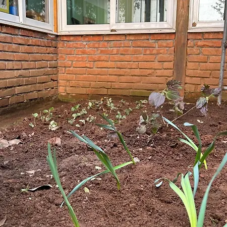 Hostel The Secret Garden