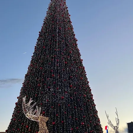 The Secret Garden Hostel